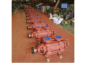 上海一批DG46一50多级泵离心，高温型号发上海客户